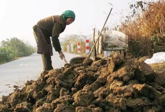 有機(jī)肥料有什么作用呢？無機(jī)肥和有機(jī)肥該如何選擇