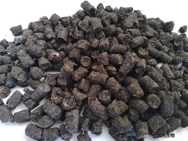 只需要五步，豬糞就能變廢為寶