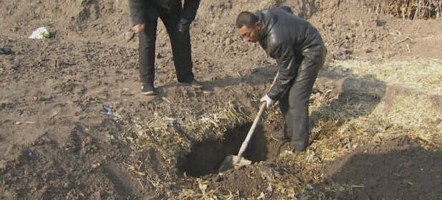 黑龍江秸稈利用，小秸稈變成大生意