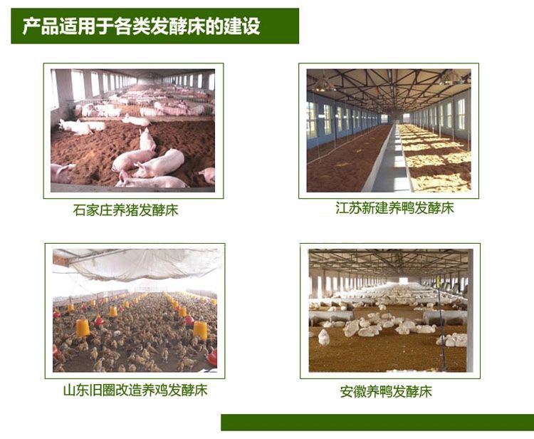 專家解答：發(fā)酵床養(yǎng)豬與水泥地養(yǎng)豬哪個(gè)省工？