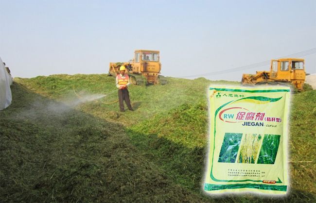 秸稈如何利用最掙錢？