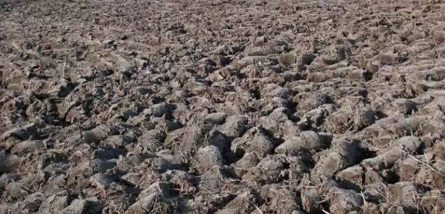 微生物菌劑如何讓土壤恢復(fù)健康！