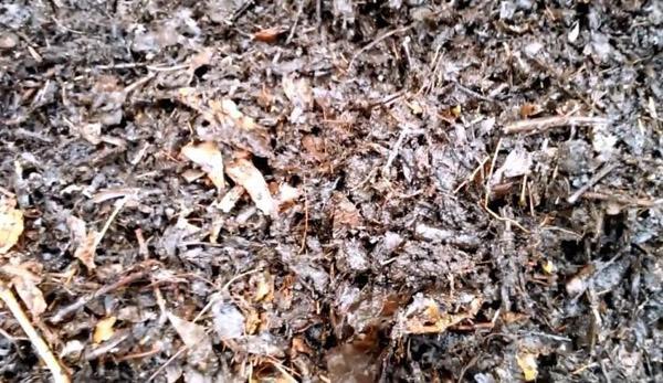 中藥渣有機(jī)肥發(fā)酵劑 河南發(fā)酵中藥渣有機(jī)肥發(fā)酵劑使用方法 中藥渣有機(jī)肥發(fā)酵劑 河南發(fā)酵中藥渣有機(jī)肥發(fā)酵劑使用方法