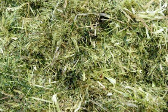 秸桿有機肥生產技術 _秸桿發(fā)酵有機肥