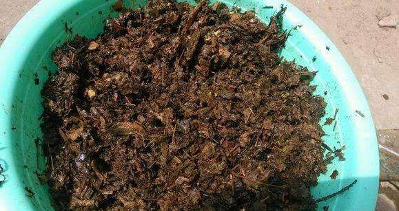 如何合理施用有機(jī)肥_施用有機(jī)肥優(yōu)勢 如何合理施用有機(jī)肥_施用有機(jī)肥優(yōu)勢