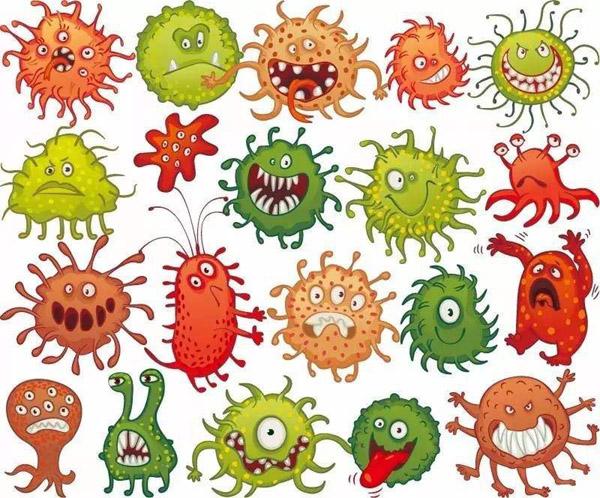 枯草芽孢桿菌_神奇的【枯草芽孢桿菌】菌肥都離不開你！