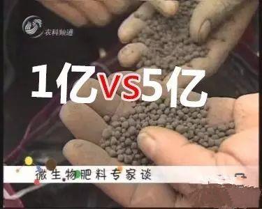 生物菌肥_菌肥_到底是5億好還是1億的好！