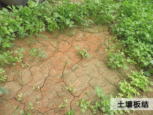 【關注】農(nóng)業(yè)部為什么大力推廣有機肥：有機肥的長期不足、缺失破壞了土壤結(jié)構(gòu)