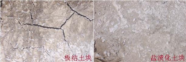 【關注】農(nóng)業(yè)部為什么大力推廣有機肥：有機肥的長期不足、缺失破壞了土壤結(jié)構(gòu)