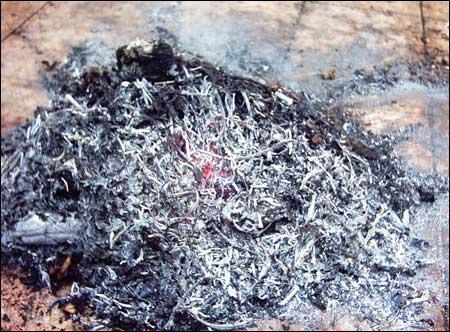 各種常用有機堆肥_農家肥施用時機與方法 各種常用有機堆肥_農家肥施用時機與方法