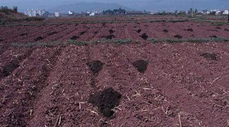 國家對(duì)農(nóng)村申請(qǐng)開有機(jī)肥廠有哪些補(bǔ)貼政策