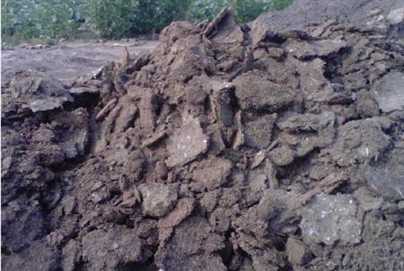 豬糞必須要發(fā)酵腐熟才可以用嗎？