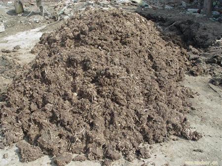 生物有機肥生產(chǎn)工藝技術(shù)簡介