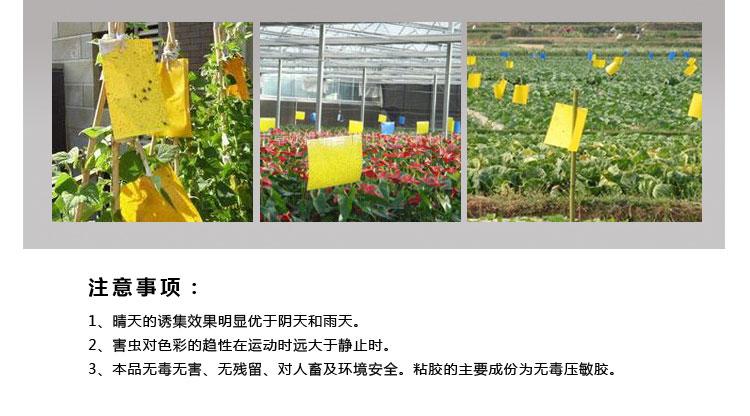 采購(gòu)粘蟲(chóng)板為什么選擇我們？粘蟲(chóng)板價(jià)格