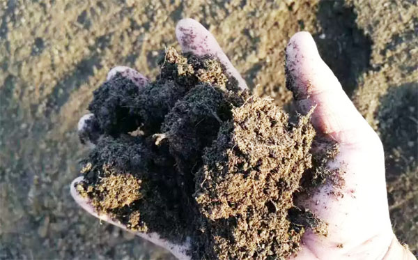 有機肥和化肥比哪個好？