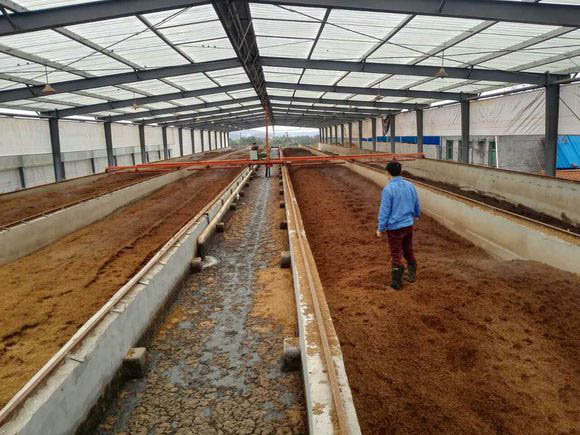 養(yǎng)殖場糞便堆肥使用翻拋機(jī)的原因有哪些