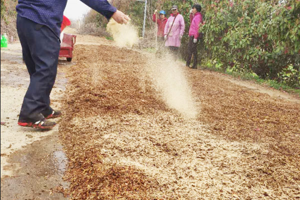 牛糞、污泥有機(jī)肥發(fā)酵劑怎么樣？