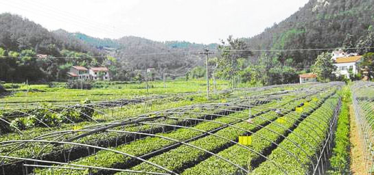 您買的肥料包裝標(biāo)識(shí)符合國家標(biāo)準(zhǔn)嗎？