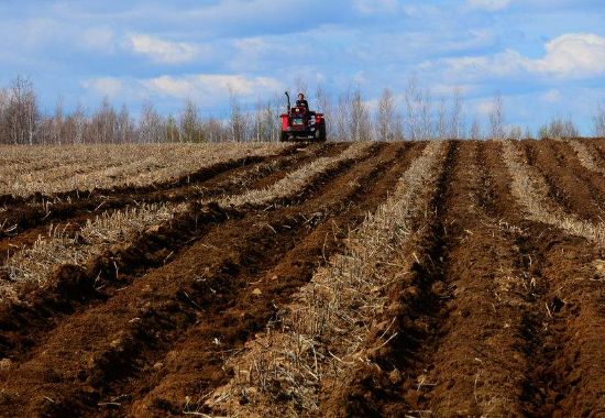 雞糞有機(jī)肥使用后有哪些好處？