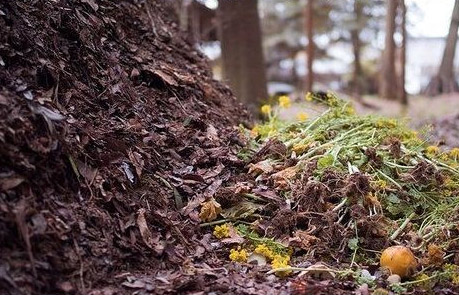 有機(jī)肥是什么肥料，與化肥有什么區(qū)別？