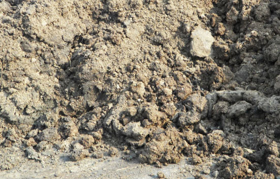 鮮雞糞如何制作生物有機(jī)肥？