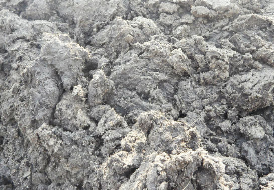 鮮雞糞如何制作生物有機(jī)肥？