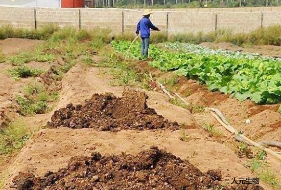 豬糞處理常用的幾種方式？