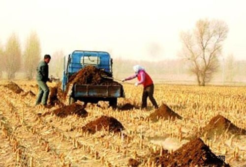 我國豬糞利用方面未來發(fā)展趨勢怎樣？