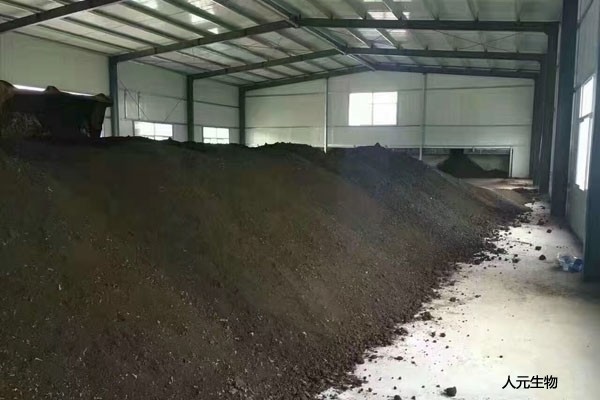 在施用菌肥時有哪些常見的預(yù)防措施？