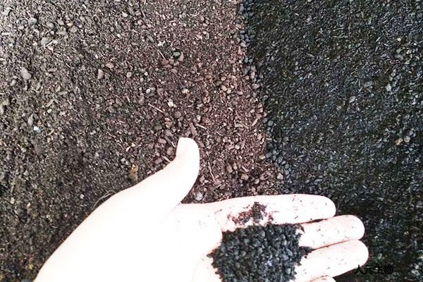 在施用菌肥時有哪些常見的預(yù)防措施？