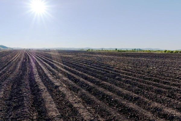 施用傳統(tǒng)有機(jī)肥和生物有機(jī)肥哪個好？