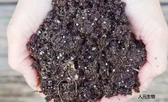 使用土壤調(diào)理劑時需要注意哪些？