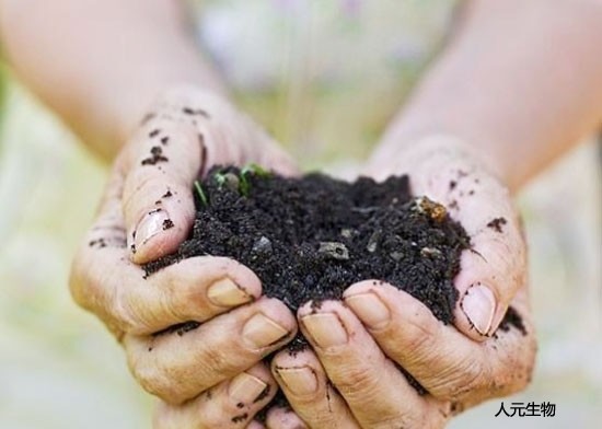使用土壤調(diào)理劑時需要注意哪些？