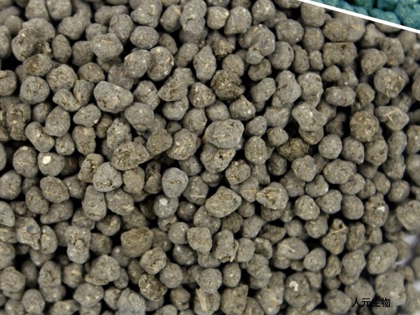 常用的有機(jī)肥料有哪些種類？