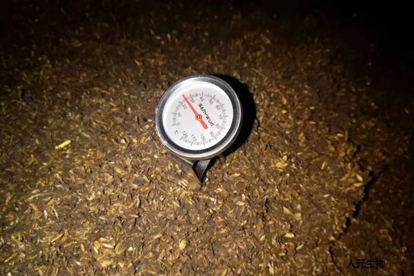 有機(jī)肥應(yīng)該發(fā)酵多少天，需要經(jīng)歷幾個(gè)階段？