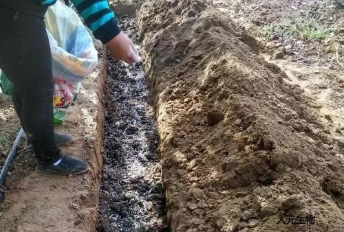 有機(jī)肥發(fā)酵到什么程度算腐熟，評判的標(biāo)準(zhǔn)又是什么呢？