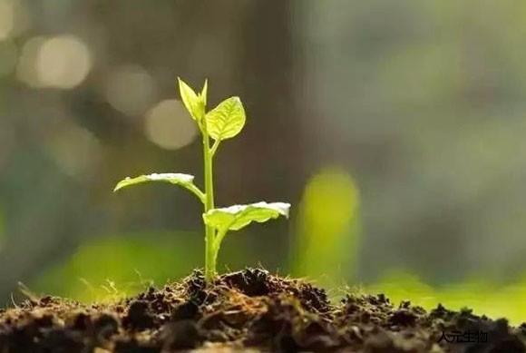 什么是有機(jī)肥？施用有機(jī)肥有哪些具體作用？