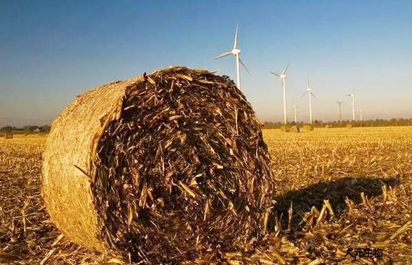 適合制作有機(jī)肥的原料有哪些，怎么劃分有機(jī)肥原料種類(lèi)的？