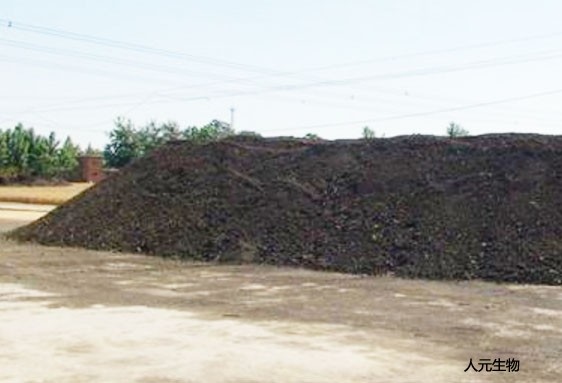 雞糞，牛糞、豬糞哪個做有機肥效果更好？