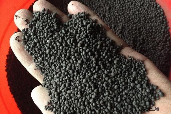 價(jià)格懸殊的三類肥料：有機(jī)肥、生物有機(jī)肥、生物菌肥之間有哪些區(qū)別？