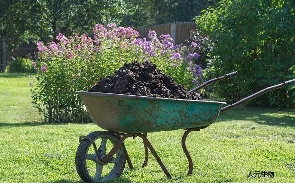 糞便發(fā)酵腐熟劑_湖北糞便發(fā)酵腐熟劑 糞便發(fā)酵腐熟劑_湖北糞便發(fā)酵腐熟劑