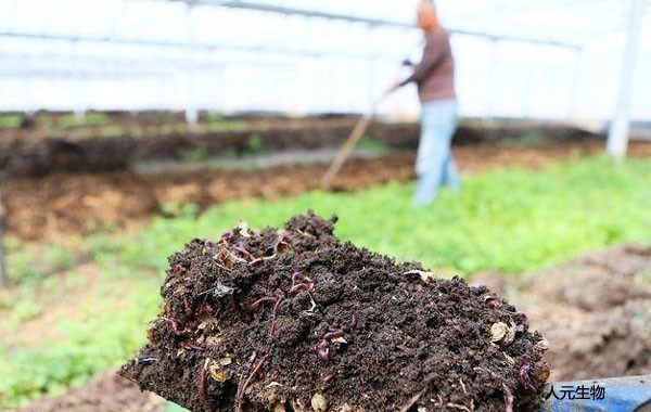果園有機(jī)肥怎么施用效果才好？