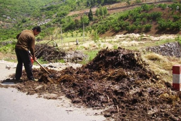 果園有機(jī)肥怎么施用效果才好？