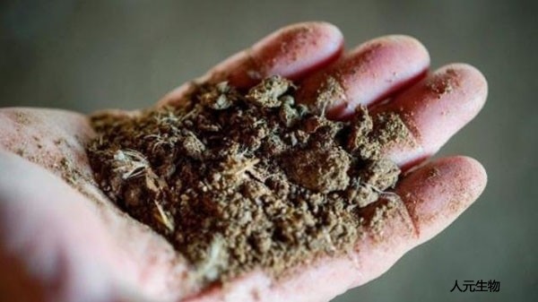 施用畜禽糞便有機(jī)肥需要注意哪些？