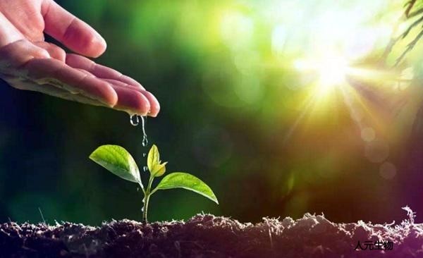 生物有機(jī)肥真的能改善農(nóng)產(chǎn)品品質(zhì)、提高土壤肥力嗎？