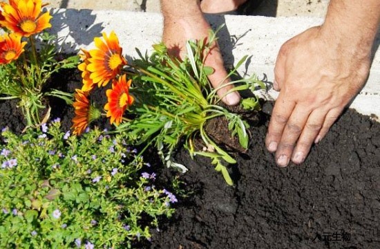 都說有機肥好，為啥老百姓卻不認可呢？