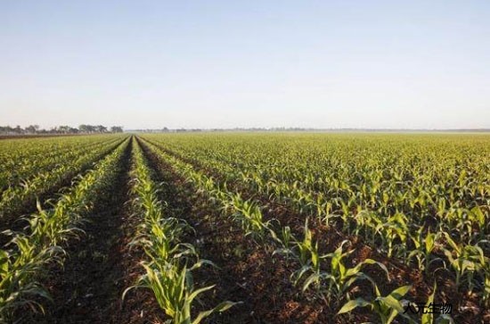 都說有機肥好，為啥老百姓卻不認可呢？