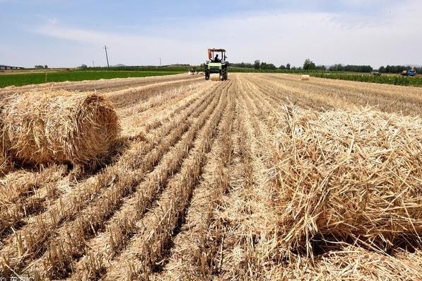 秸稈有機肥需要怎樣發(fā)酵好？