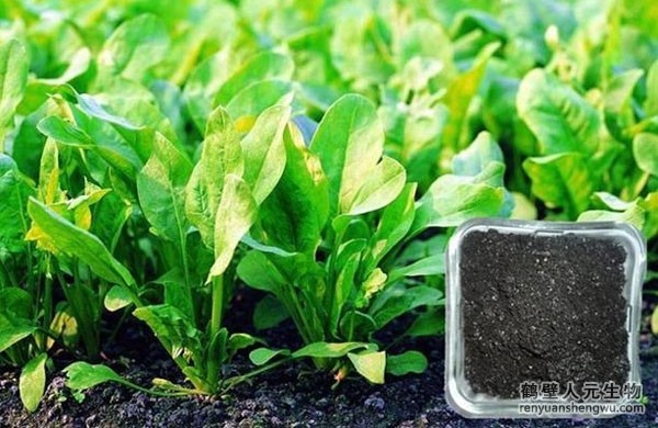 有機(jī)肥有什么作用，如何選購(gòu)商品有機(jī)肥？