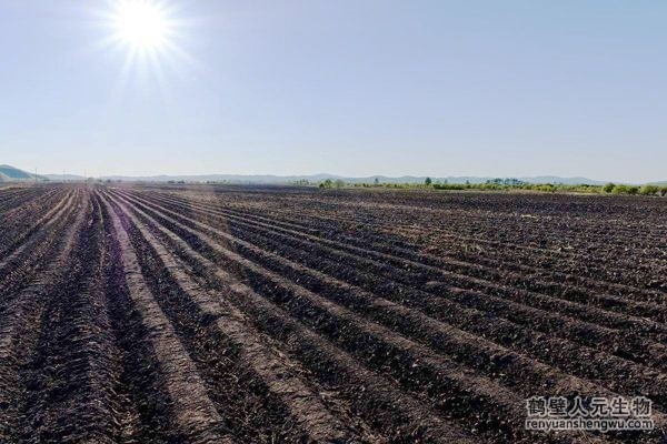 小麥底肥施用有機肥效果好不好？